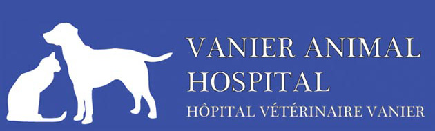 Vanier Animal Hospital